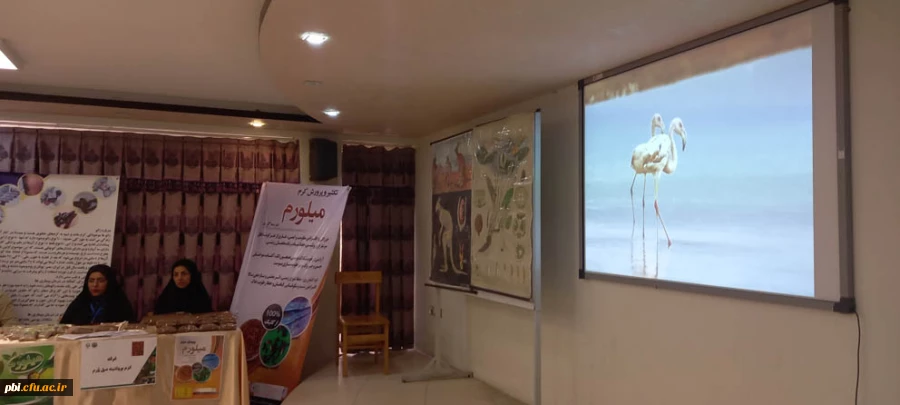 برگزاری نمایشگاه و کارگاه روز جهانی تنوع زیستی در پردیس شهید باهنر اصفهان 75