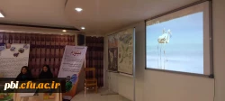 برگزاری نمایشگاه و کارگاه روز جهانی تنوع زیستی در پردیس شهید باهنر اصفهان 116