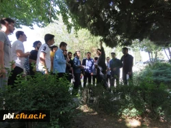 بازدید علمی دانشجویان پردیس شهید باهنر به همراه استاد فرح نسب و آشنایی با طبیعت شهری 7