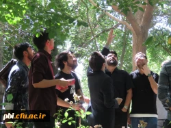 بازدید علمی دانشجویان پردیس شهید باهنر به همراه استاد فرح نسب و آشنایی با طبیعت شهری 13