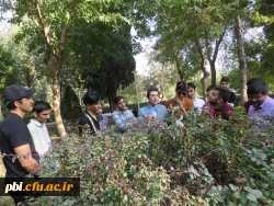 بازدید میدانی بوم شناسی و فلوریستیک گیاهان، 