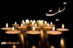 عرض تسلیت خدمت استاد گرامی جناب آقای نوروز هاشمی: 2