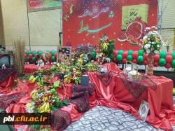 ویژه برنامه جشن شب یلدا 3