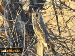 بازدید دانشجویان از پارک ملّی و پناهگاه حیات وحش موته  8