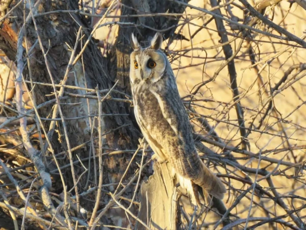 بازدید دانشجویان از پارک ملّی و پناهگاه حیات وحش موته  8