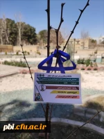 تقدیر از خادمان محیط زیست 4