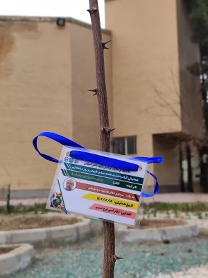 تقدیر از خادمان محیط زیست 8