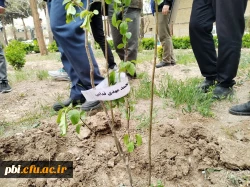 کاشت چند اصله نهال  در پردیس شهید باهنر به مناسبت روز شهدا 2