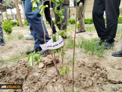 کاشت چند اصله نهال  در پردیس شهید باهنر به مناسبت روز شهدا