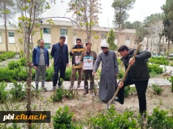 کاشت چند اصله نهال  در پردیس شهید باهنر به مناسبت روز شهدا 3