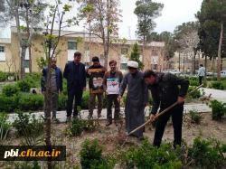 کاشت چند اصله نهال  در پردیس شهید باهنر به مناسبت روز شهدا 4