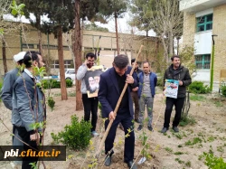 کاشت چند اصله نهال  در پردیس شهید باهنر به مناسبت روز شهدا 5