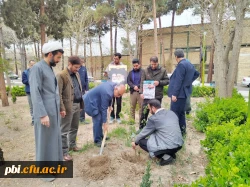 کاشت چند اصله نهال  در پردیس شهید باهنر به مناسبت روز شهدا 6
