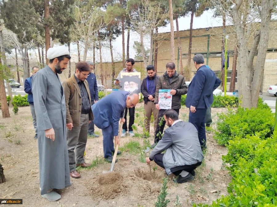 کاشت چند اصله نهال  در پردیس شهید باهنر به مناسبت روز شهدا 6