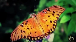 سومین جلسه هماهنگی برگزاری مرحله  استانی و منطقه ای  